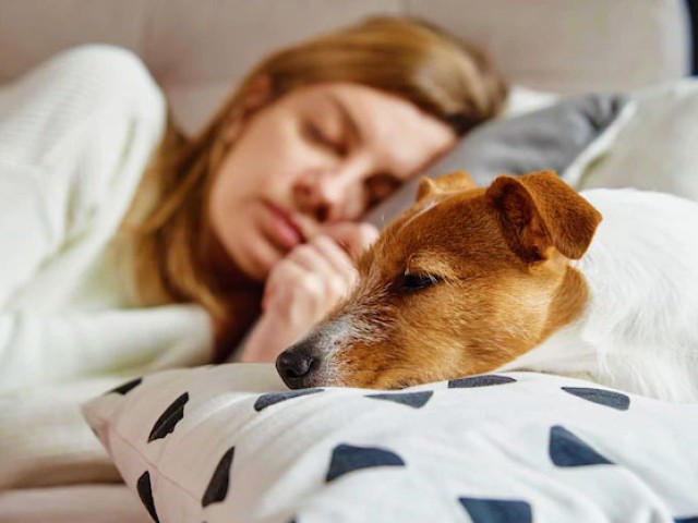 4 способи заснути, якщо Ви постійно прокидаєтеся вночі
